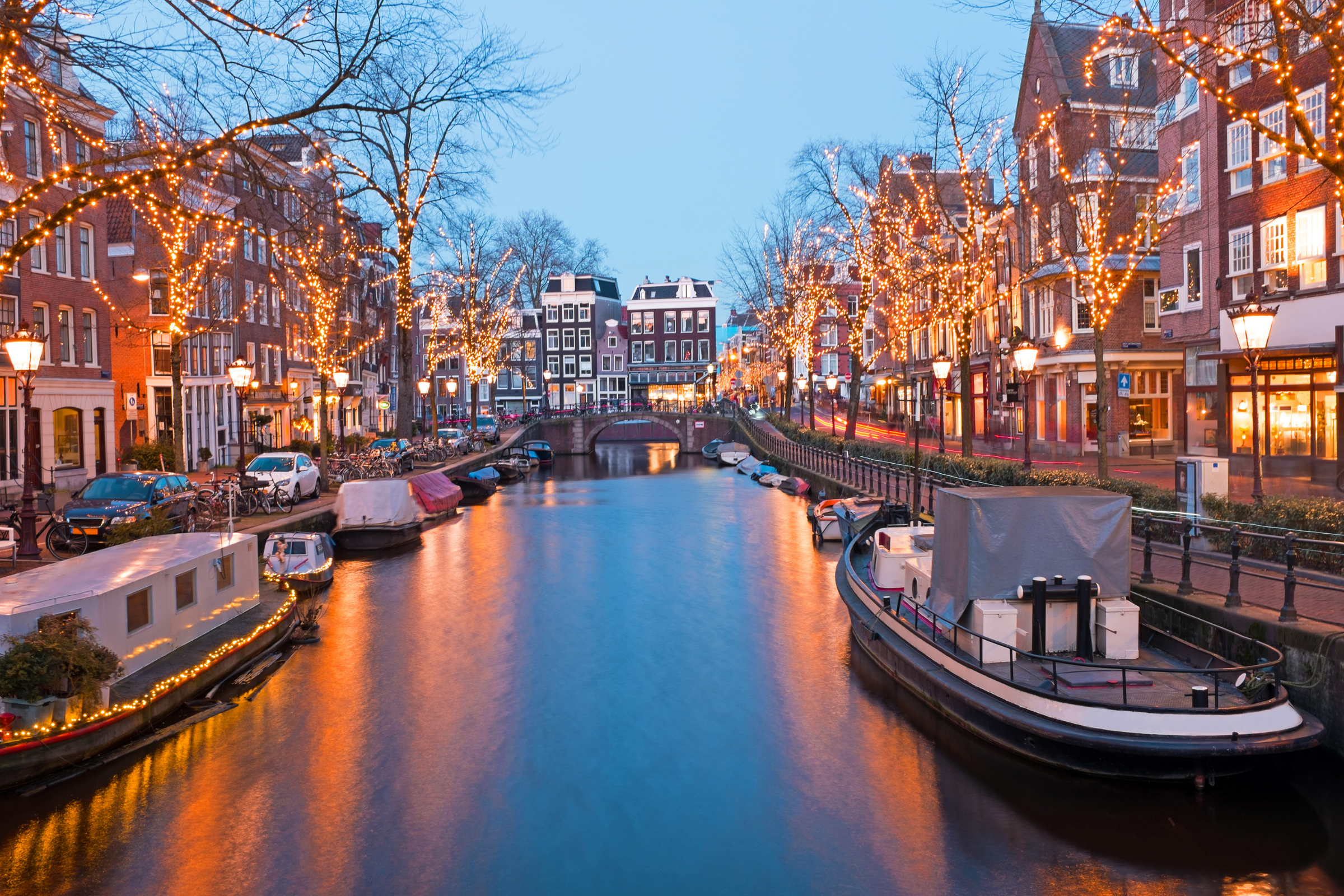 amsterdam island.webp